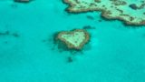 【沖縄の綺麗な海】知ってた？宮古島のサンゴを守る台風の役割