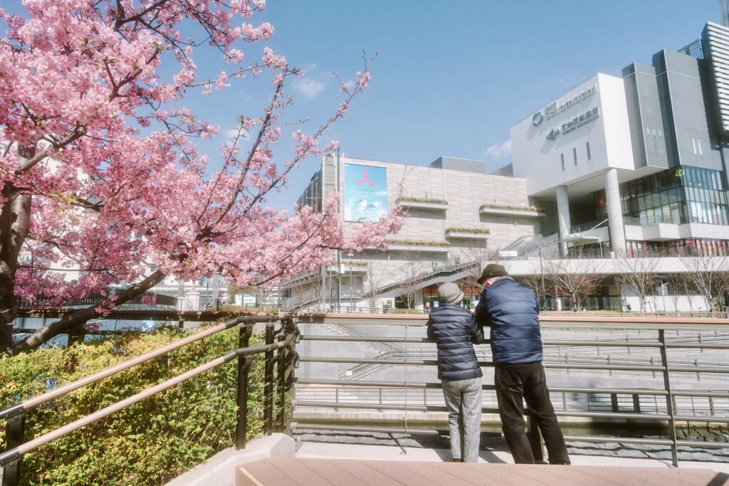 東京スカイツリーのすぐ側で桜を楽しもう